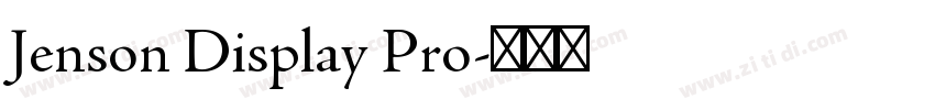 Jenson Display Pro字体转换
